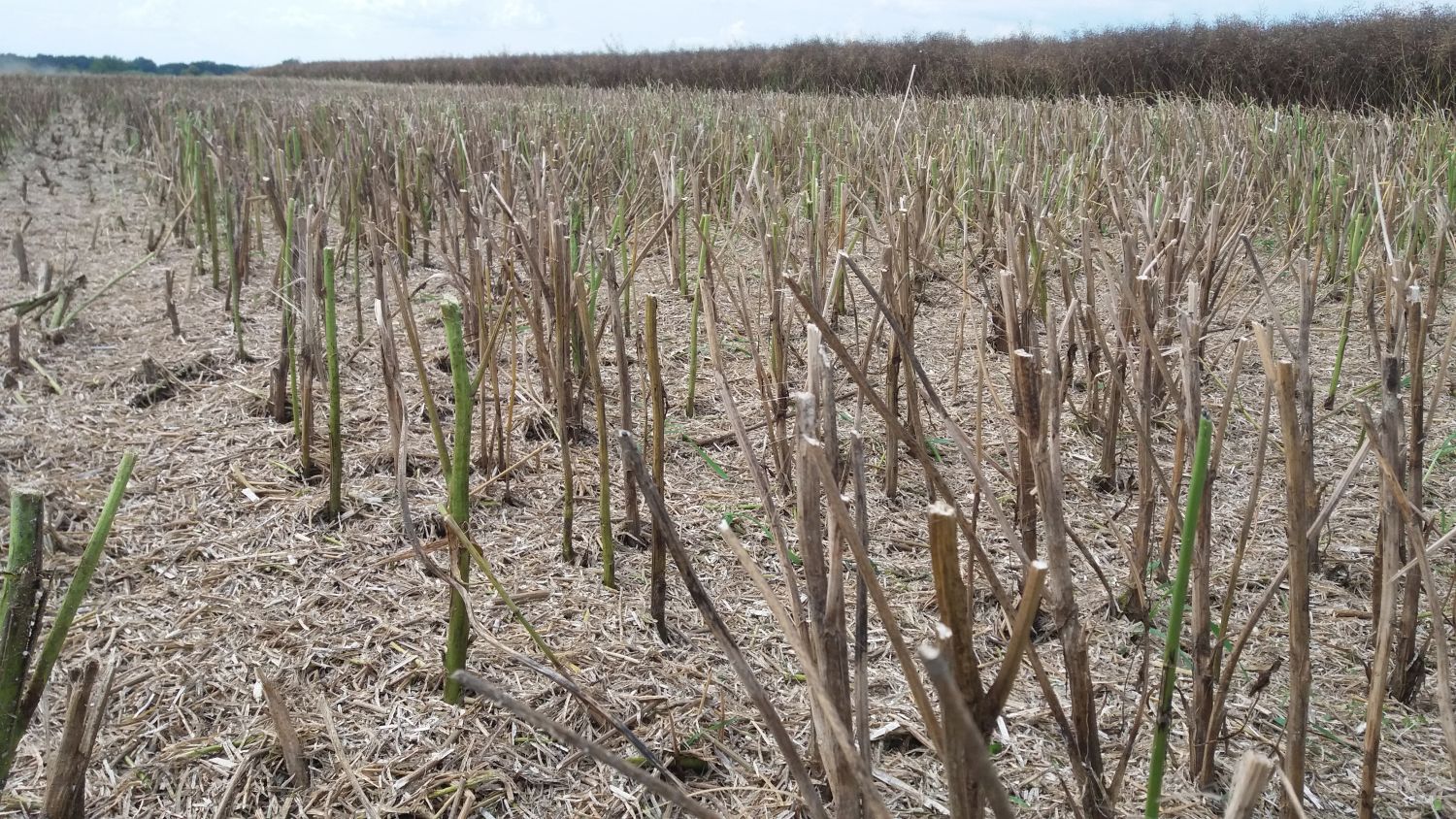 Ochrana rostlin v zemědělství JVP Harvest